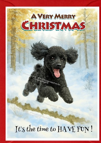 Poodle dog christmas - (black),