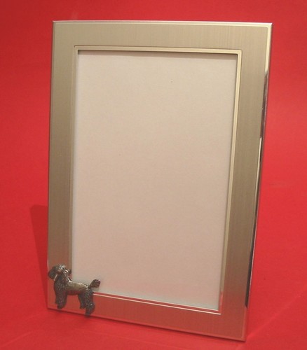 Poodle dog motif 4 photo - motif,