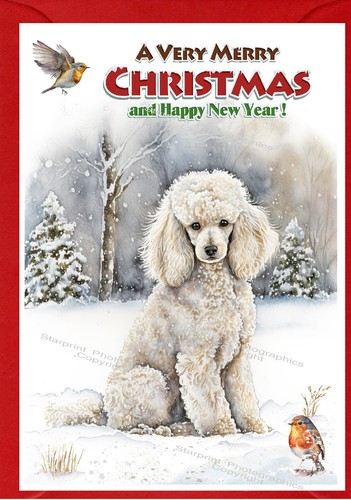 Poodle dog christmas - poodle,