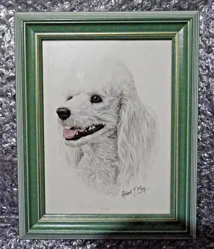 Poodle head study by artist - head,