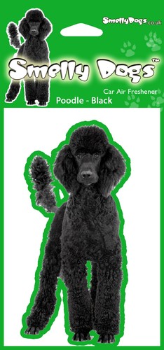 Poodle black dog lovers - poodle,
