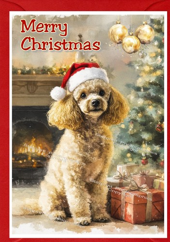 Poodle dog christmas - poodle, (apricot)