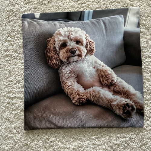 Relaxed poodle cushion - poodle,