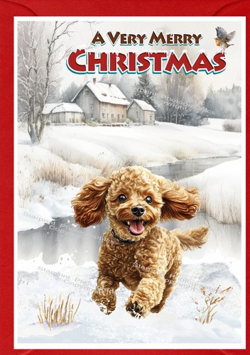 Poodle dog christmas - (apricot),