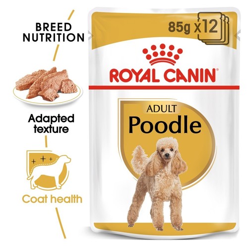 Royal canin poodle wet - poodle,