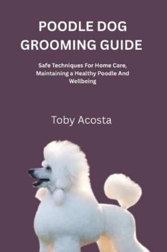 Toby acosta poodle - toby, dog