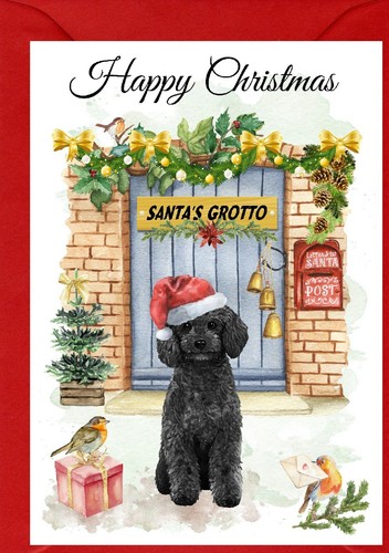 Poodle dog - poodle,