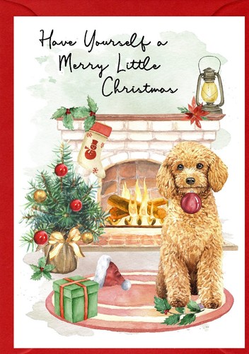 Poodle dog 4 x - poodle, a6