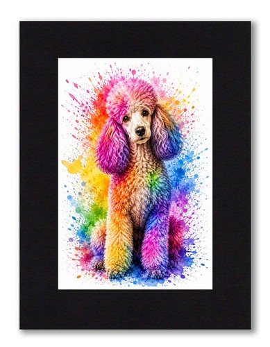Poodle dog 6x4 photo - poodle, print