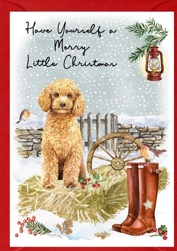 Poodle dog 4 x - dog, a6