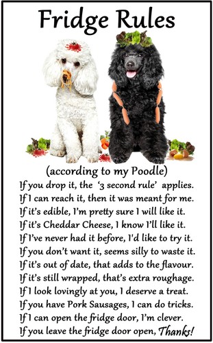 Poodle dog gift fridge rules - gift,