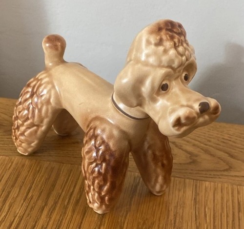 Vintage 1950 poodle - vintage,
