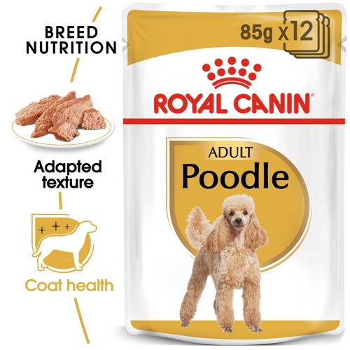 Royal canin poodle adult wet - canin,