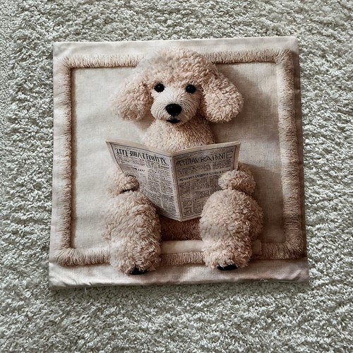 Funny poodle reading newspaper - poodle,