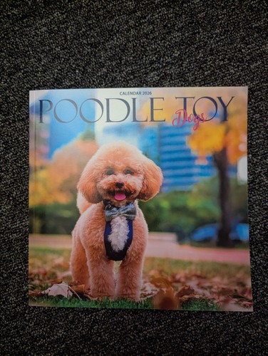 Toy poodle dog 2026 desktop - dog,