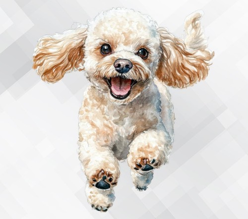 Poodle dog wall vinyl - wall,