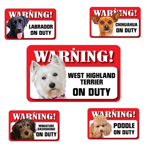 Pet dog laminated card signs - laminated,