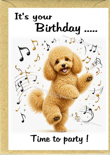 Poodle apricot dog birthday - dog,