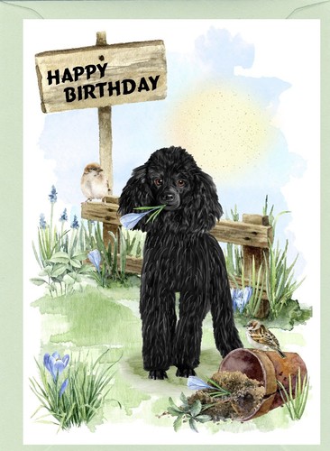 Poodle black dog - dog, 6")
