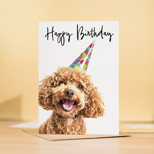 Poodle dog birthday card for - poodle,