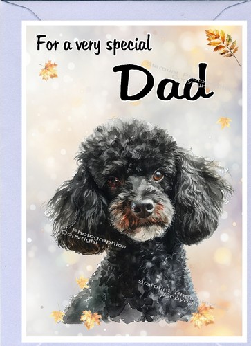 Poodle black dog blank - poodle,