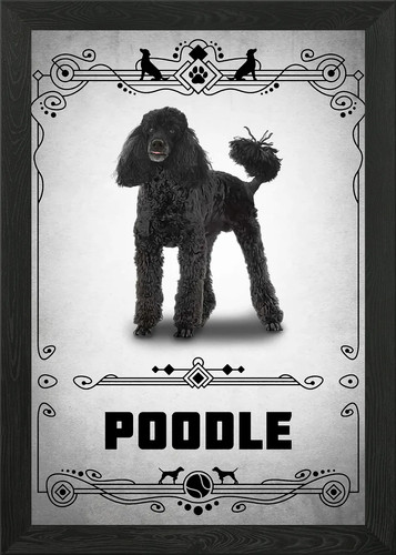 Poodle framed wall - poodle,