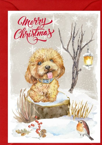 Poodle dog 4 - (apricot), (4"x