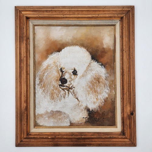 Vintage white poodle - white,