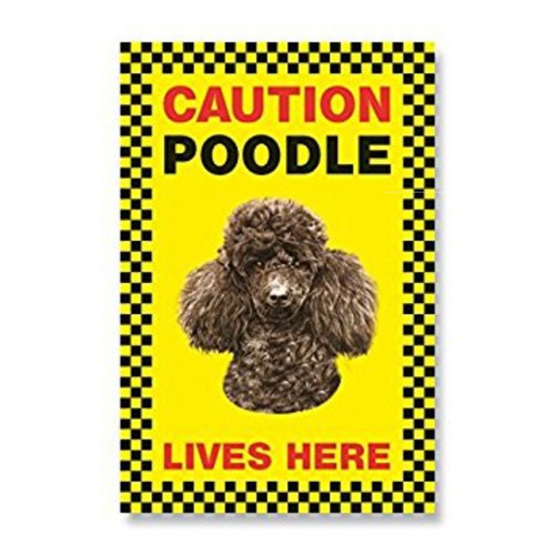 Poodle black gift lives - poodle,