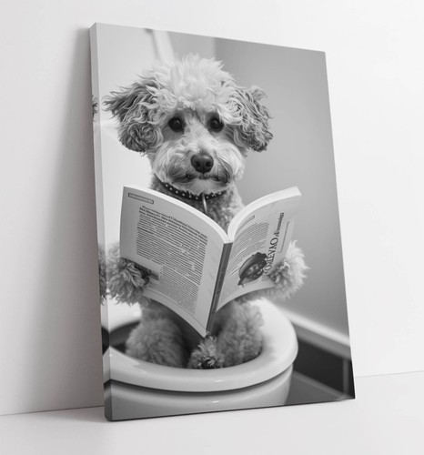Toy poodle dog reading - toy, on