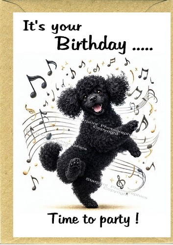 Poodle black dog birthday card - poodle,