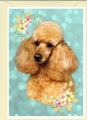 Poodle dog - dog, (4"