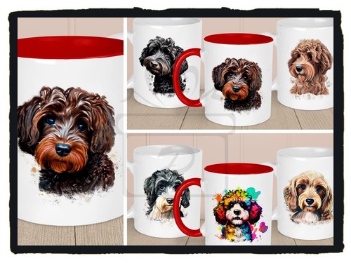 Cockerpoo cocker spaniel - cockerpoo,