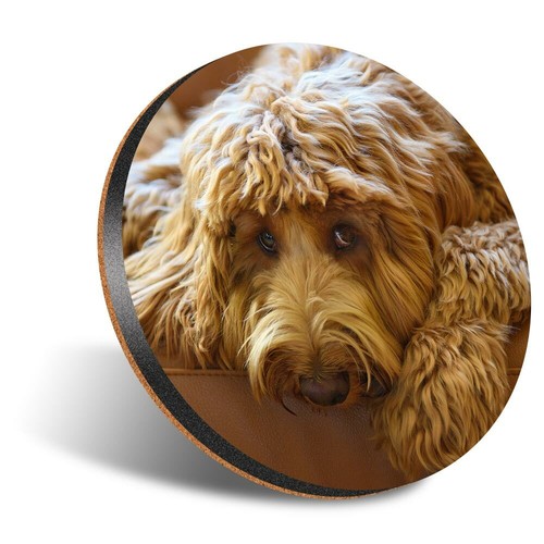 Round 12cm coaster - round,