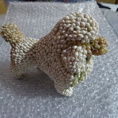 Vintage poodle seashell - vintage,