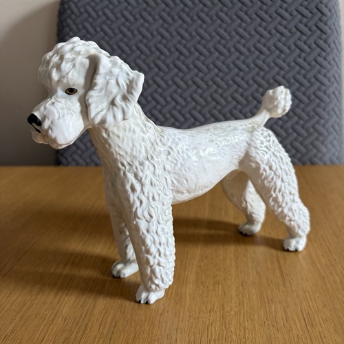 Gobel west german - poodle, dog