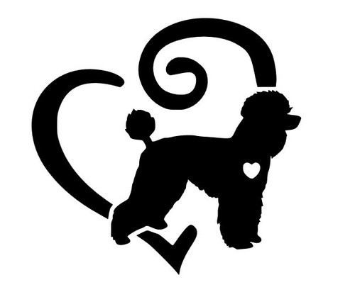 Poodle dog love heart - poodle, pet