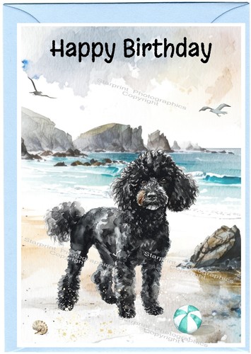 Poodle black dog birthday - poodle,
