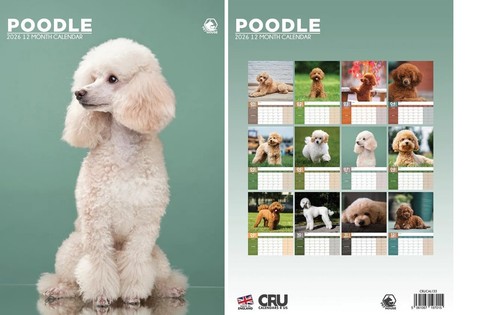 Poodle 2026 calendar a3 size - 2026,